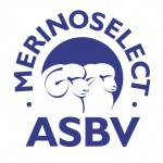 MerinoSelectASBV300dpi