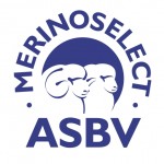 MerinoSelectASBV300dpi