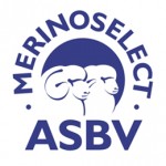 MerinoSelectASBV300dpi2