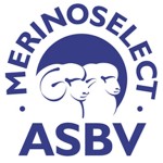 MerinoSelectASBV300dpi2