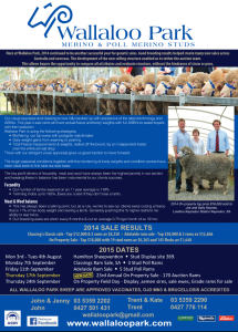 Wallallo Park Merino Newsletter - July 2015